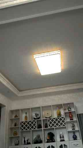 蜗牛与黄鹂鸟练习，
让我们感受一下童年的插图