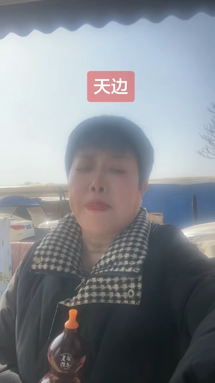 老师好，作业《天边》已提交，望老师给予指插图