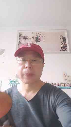 《月光下的凤尾竹》插图