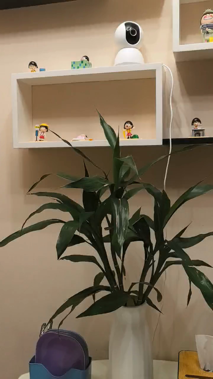 学吹了一首《红尘情歌》。请老师指导。插图