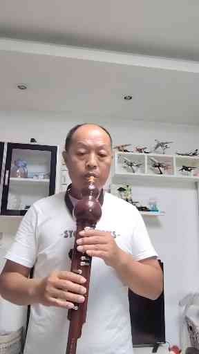 请老师帮忙点评一下，鸿雁插图