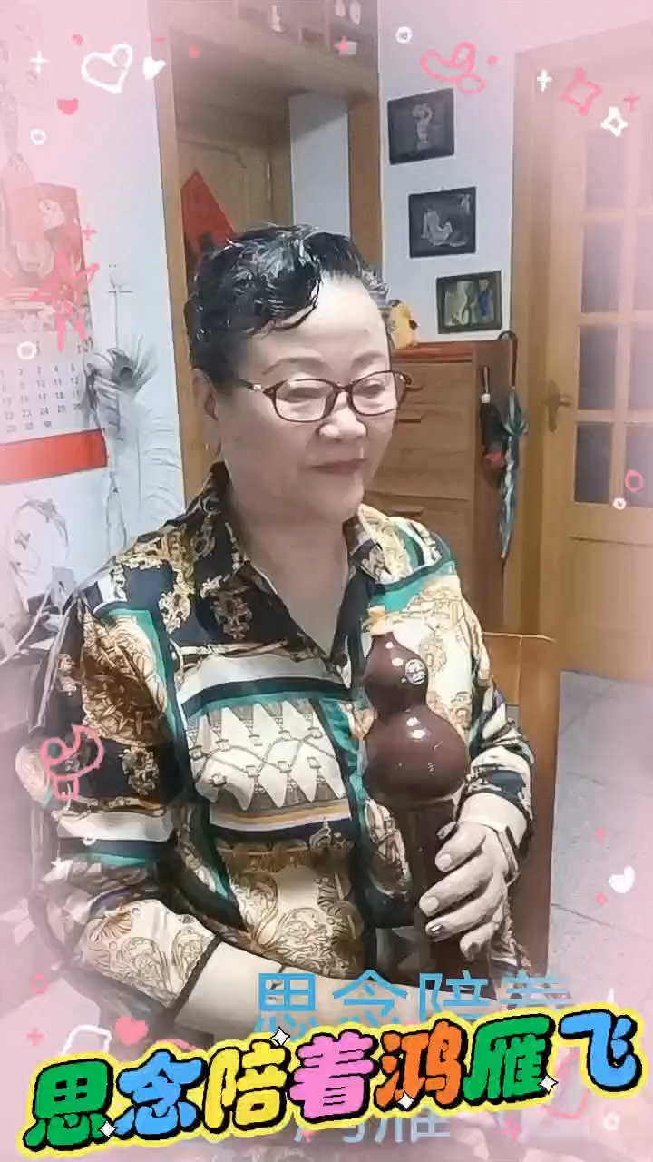 思念陪着鸿雁飞插图